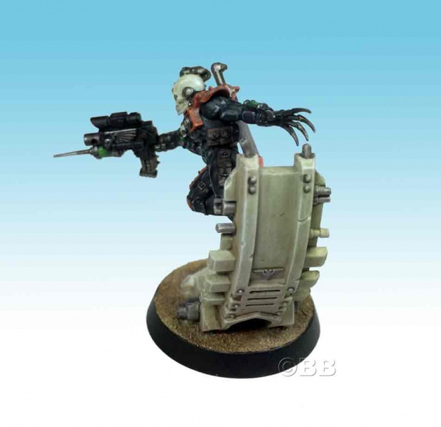 File:Bbeversorassasside1.jpg