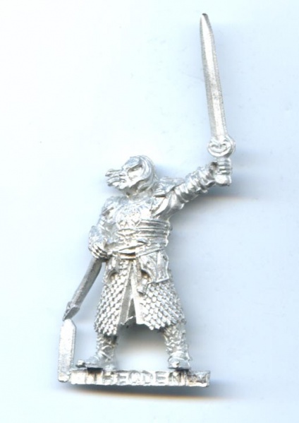 File:HOHD - Theoden.jpg