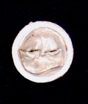SH1-37.jpg
