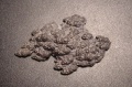 Thumbnail for version as of 10:23, 24 March 2008