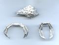 Thumbnail for version as of 15:01, 2 February 2013
