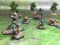 Thumbnail for version as of 01:32, 19 November 2020