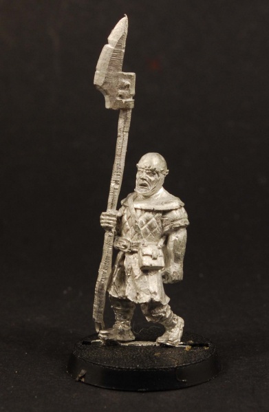 File:Unreleased - Bretonnian FP1.jpg