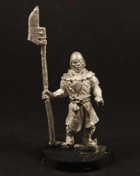 File:Unreleased - Bretonnian FP3.jpg