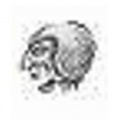 Thumbnail for version as of 16:25, 12 March 2011