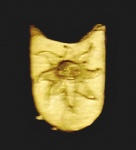 SH1-42.jpg